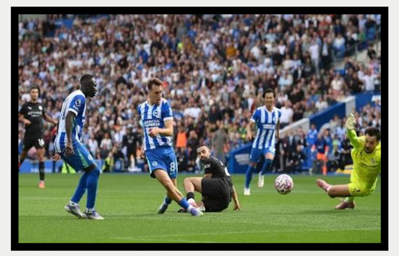 Man City vs Brighton & Hove Albion F.C. Timeline Key Matches Stats and Turning Points