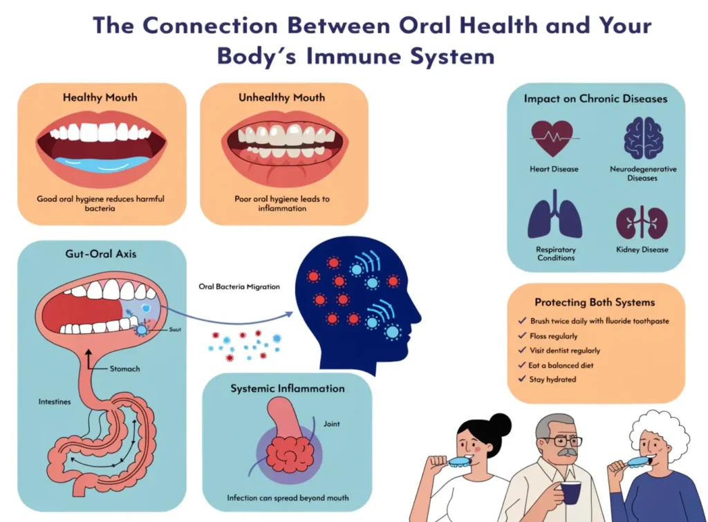 The Connection Between Oral Health and Your Body’s Immune System