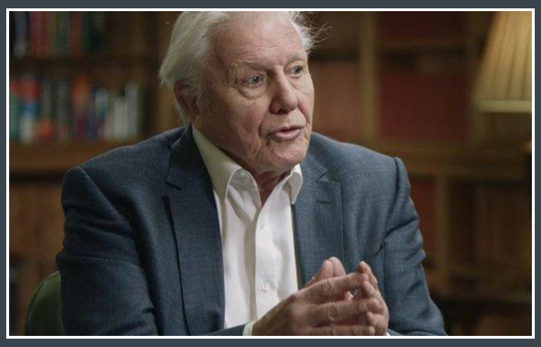 Is David Attenborough Vegan Truth About His Diet Lifestyle and 2026 Status Is David Attenborough Vegan Truth About His Diet Lifestyle and 2026 Status
